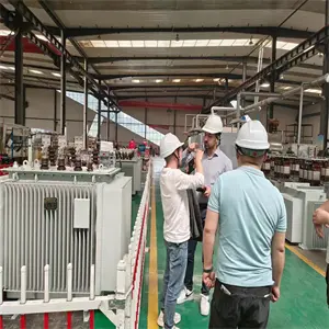 Oil-immersed transformer