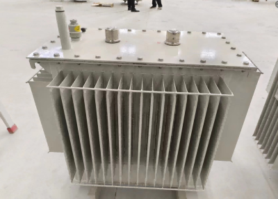 Sh12-M Oil Immersed Transformer