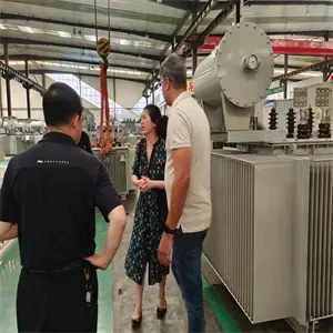 Oil-immersed transformers Oil-immersed transformers