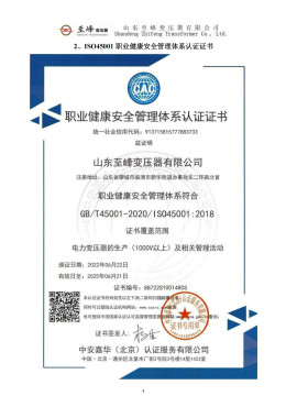 SGS Report about Transformer