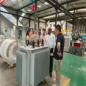 Customers learn about the products Customers learn about the products