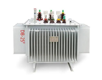 Transformateur immergé dans l'huile de 800 kVA