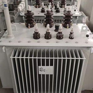 Transformador sumergido en aceite
